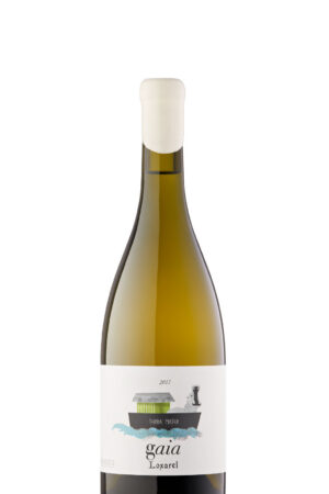 marcio-lopes-winemaker-gaia-loxarel