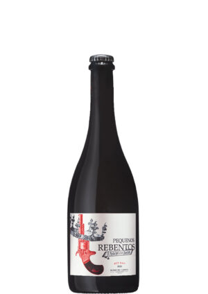 marcio-lopes-winemaker-pequenos-rebentos