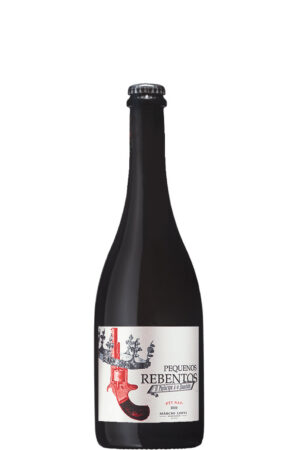 marcio-lopes-winemaker-pequenos-rebentos