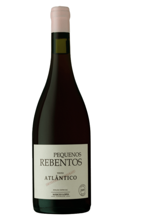 marcio-lopes-winemaker-pequenos-rebentos-tinto-atlantico