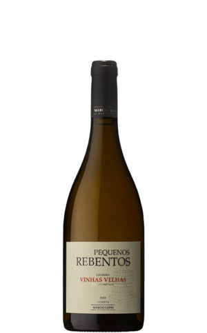 marcio-lopes-winemaker-pequenos-rebentos-vinhas-velhas