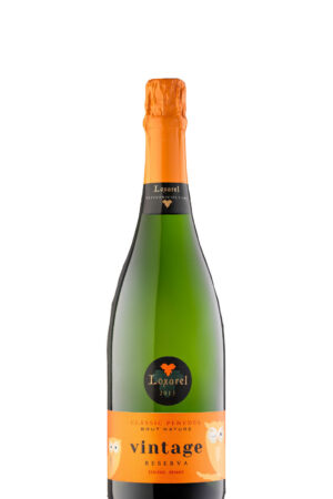 marcio-lopes-winemaker-loxarel-vintage