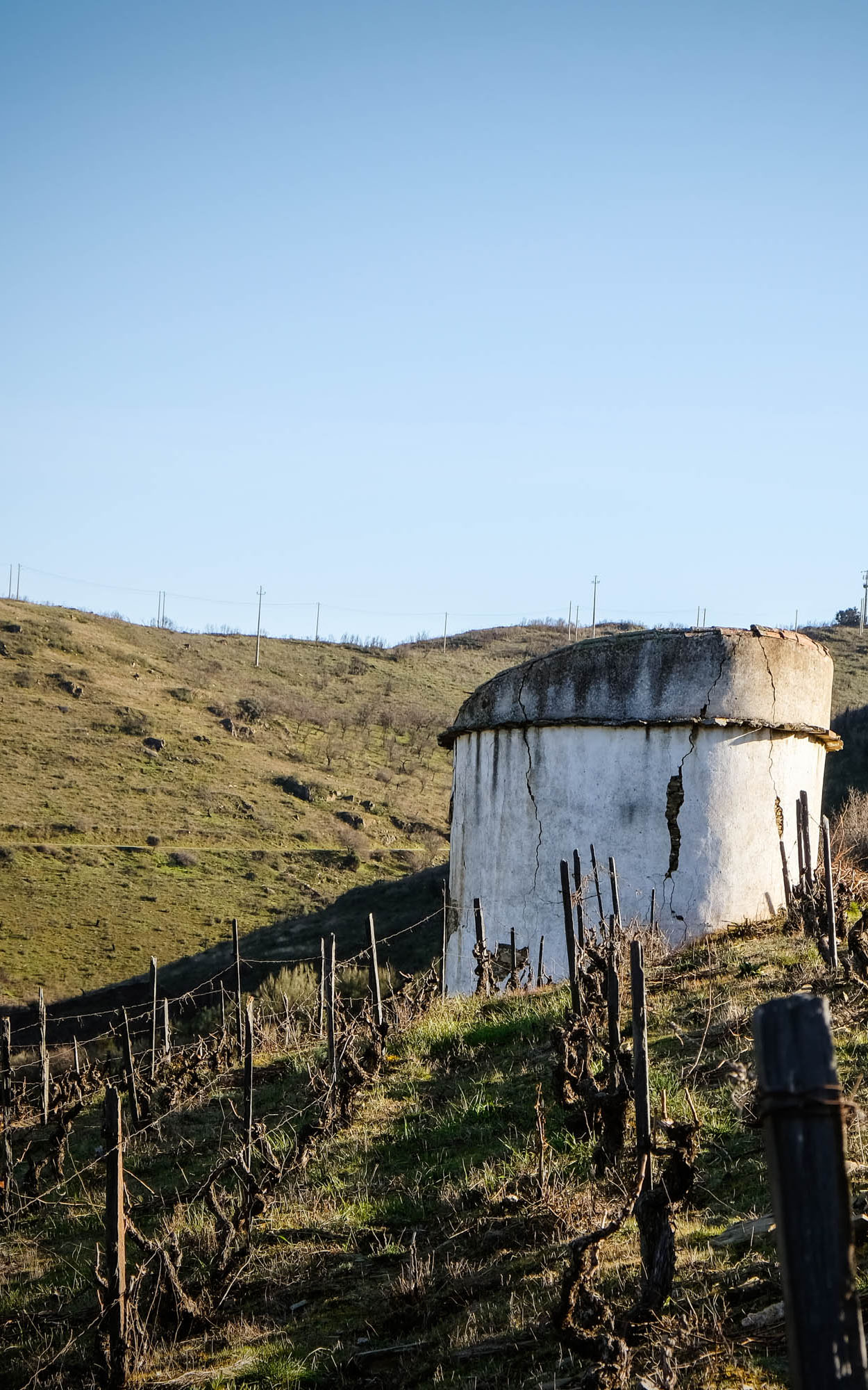 marcio-lopes-winemaker