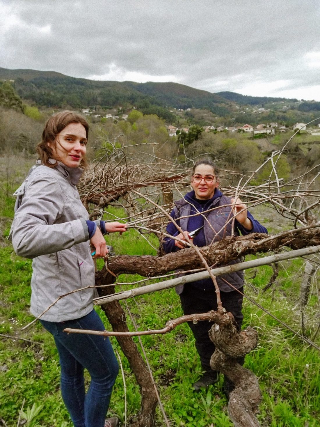 marcio-lopes-winemaker
