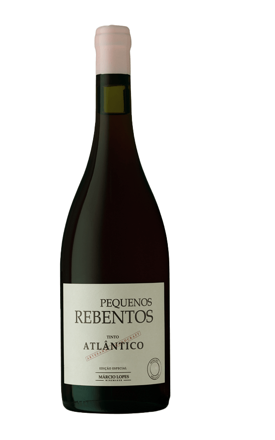 marcio-lopes-winemaker-pequenos-rebentos-tinto-atlantico